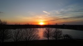 DJI_20250323193631_0050_D.JPG